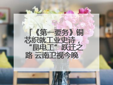 《第一要务》铜芯织就工业史诗，“昆电工”跃迁之路 云南卫视今晚21:16播出