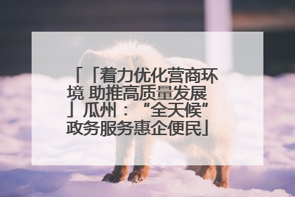 「着力优化营商环境 助推高质量发展」瓜州：“全天候”政务服务惠企便民