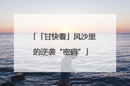 「甘快看」风沙里的逆袭“密码”