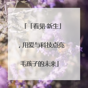 「看见·新生」，用爱与科技点亮毛孩子的未来