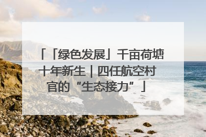 「绿色发展」千亩荷塘 十年新生｜四任航空村官的“生态接力”