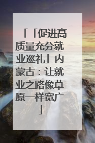「促进高质量充分就业巡礼」内蒙古：让就业之路像草原一样宽广