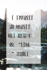 「厚道甘肃 地道甘味」夏菜丰收 “甘味”出陇