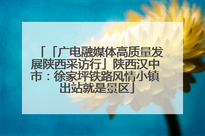 「广电融媒体高质量发展陕西采访行」陕西汉中市：徐家坪铁路风情小镇 出站就是景区