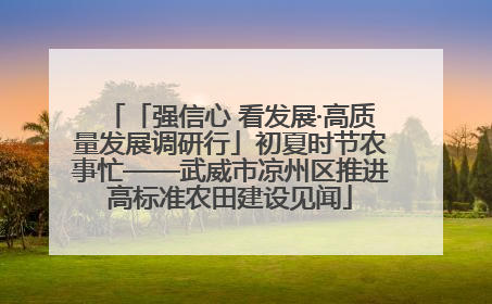 「强信心 看发展·高质量发展调研行」初夏时节农事忙——武威市凉州区推进高标准农田建设见闻