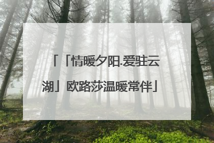 「情暖夕阳.爱驻云湖」欧路莎温暖常伴