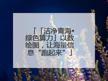 「洁净青海•绿色算力」以数绘图，让海量信息“跑起来”
