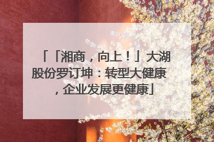 「湘商，向上！」大湖股份罗订坤：转型大健康，企业发展更健康