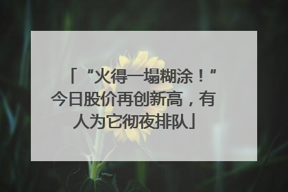 “火得一塌糊涂！”今日股价再创新高，有人为它彻夜排队