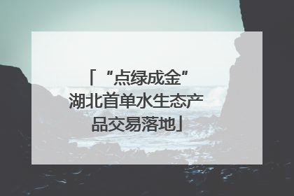 “点绿成金” 湖北首单水生态产品交易落地