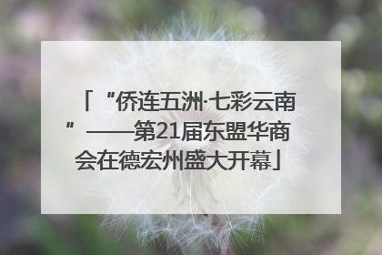 “侨连五洲·七彩云南”——第21届东盟华商会在德宏州盛大开幕