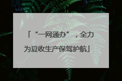 “一网通办”，全力为夏收生产保驾护航