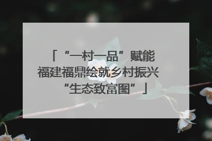 “一村一品”赋能 福建福鼎绘就乡村振兴“生态致富图”
