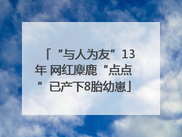 “与人为友”13年 网红麋鹿“点点”已产下8胎幼崽