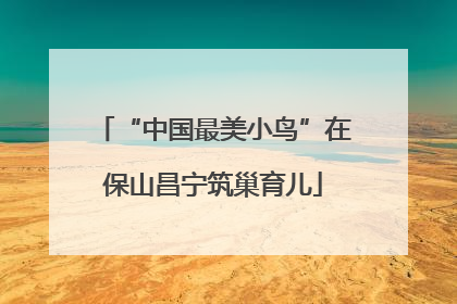 “中国最美小鸟”在保山昌宁筑巢育儿