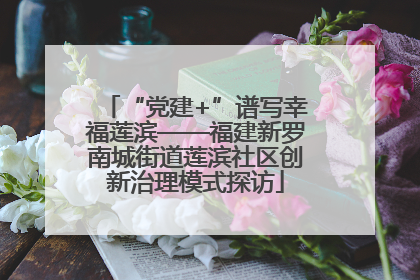 “党建+”谱写幸福莲滨——福建新罗南城街道莲滨社区创新治理模式探访