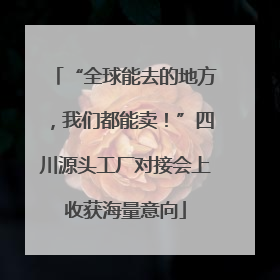 “全球能去的地方，我们都能卖！”四川源头工厂对接会上收获海量意向