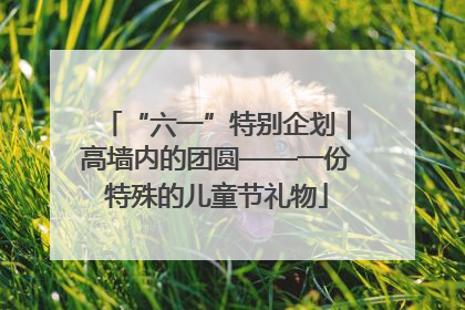 “六一”特别企划｜高墙内的团圆——一份特殊的儿童节礼物