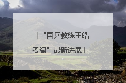 “国乒教练王皓考编”最新进展