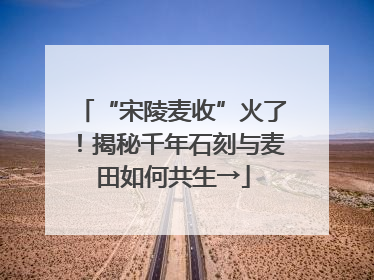 “宋陵麦收”火了！揭秘千年石刻与麦田如何共生→
