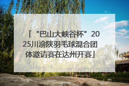 “巴山大峡谷杯”2025川渝陕羽毛球混合团体邀请赛在达州开赛