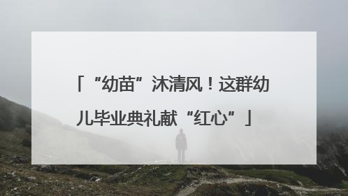 “幼苗”沐清风！这群幼儿毕业典礼献“红心”