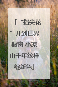 “指尖花”开到世界橱窗 小凉山千年纹样绽新色