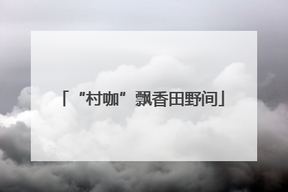 “村咖”飘香田野间