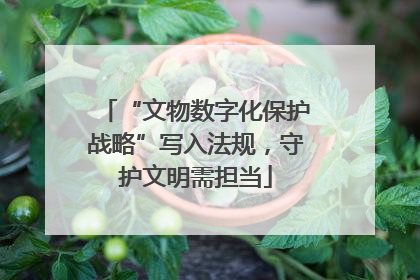 “文物数字化保护战略”写入法规，守护文明需担当