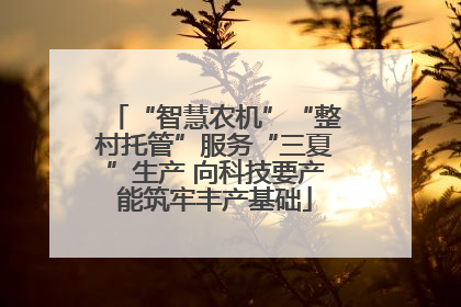 “智慧农机”“整村托管”服务“三夏”生产 向科技要产能筑牢丰产基础