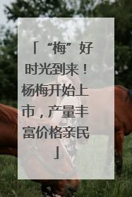 “梅”好时光到来！杨梅开始上市，产量丰富价格亲民