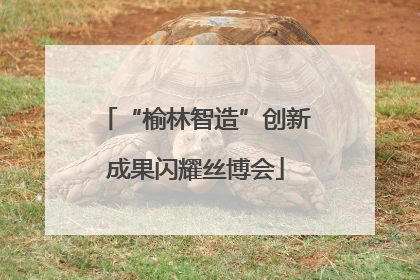“榆林智造”创新成果闪耀丝博会