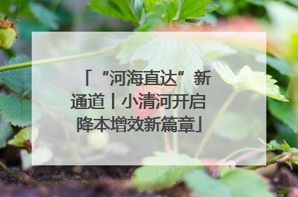 “河海直达”新通道丨小清河开启降本增效新篇章
