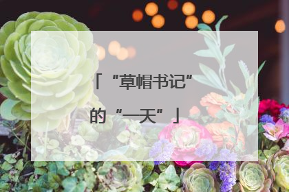 “草帽书记”的“一天”
