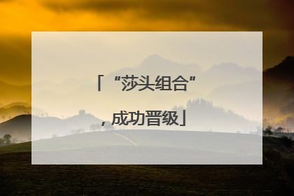 “莎头组合”，成功晋级