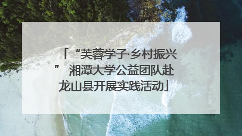 “芙蓉学子·乡村振兴” 湘潭大学公益团队赴龙山县开展实践活动