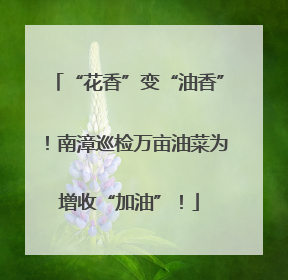 “花香”变“油香”！南漳巡检万亩油菜为增收“加油”！