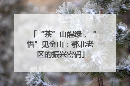 “茶”山醒绿，“悟”见金山：鄂北老区的振兴密码