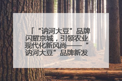 “讷河大豆”品牌闪耀京城，引领农业现代化新风尚——“讷河大豆”品牌新发地推介会圆满落幕