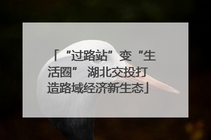 “过路站”变“生活圈” 湖北交投打造路域经济新生态