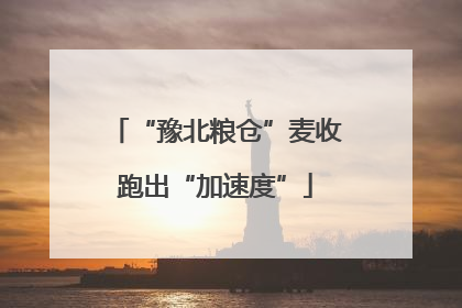 “豫北粮仓”麦收跑出“加速度”