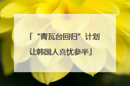 “青瓦台回归”计划让韩国人喜忧参半