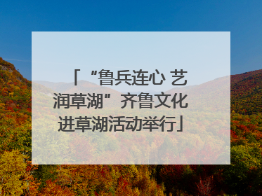 “鲁兵连心 艺润草湖”齐鲁文化进草湖活动举行
