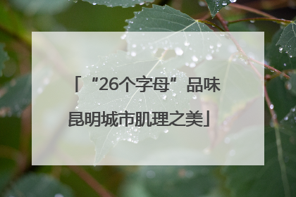 “26个字母”品味昆明城市肌理之美
