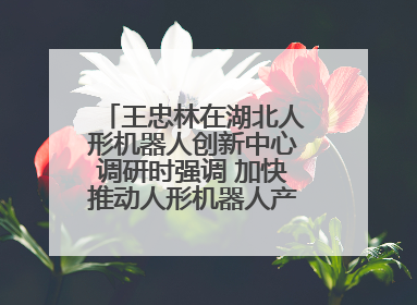 王忠林在湖北人形机器人创新中心调研时强调 加快推动人形机器人产业高质量发展 打造具有全国影响力的研发创新基地