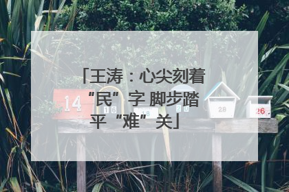 王涛：心尖刻着“民”字 脚步踏平“难”关
