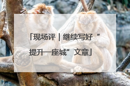 现场评｜继续写好“提升一座城”文章