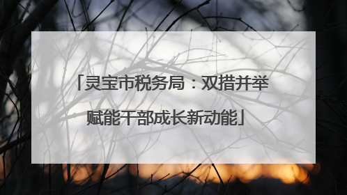 灵宝市税务局：双措并举 赋能干部成长新动能