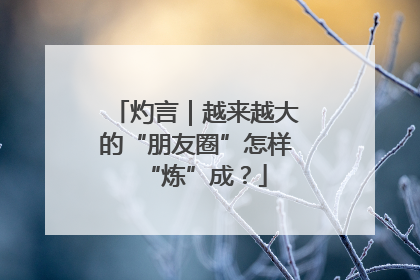 灼言｜越来越大的“朋友圈”怎样“炼”成？