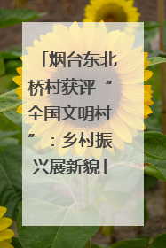 烟台东北桥村获评“全国文明村”：乡村振兴展新貌